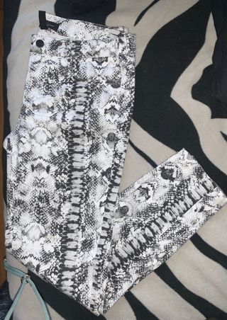 Snake print trousers - Woman | OUTLET Estonia
