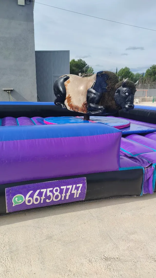 BARREDORA- PALO LOCO- TABLA SURF