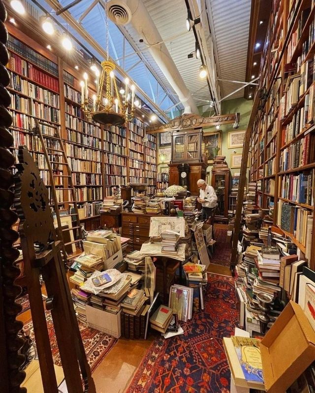 clases de inglés particulares