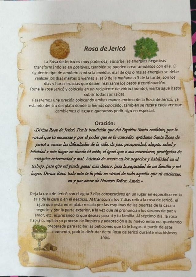 Rosa de Jerico (Limpieza energetica)