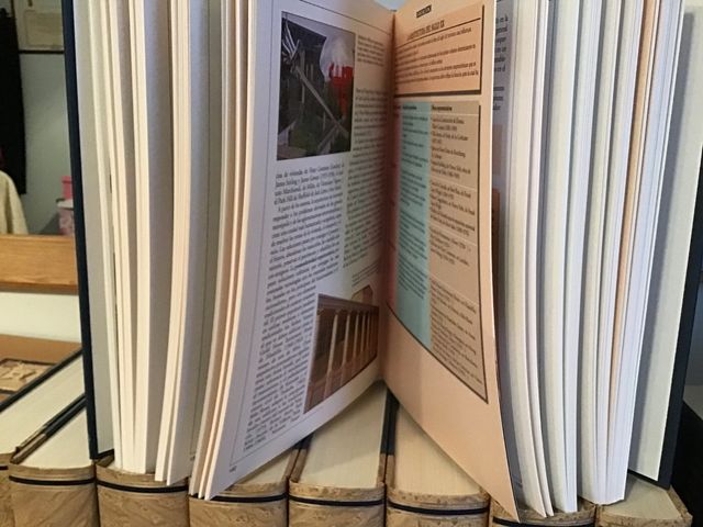 Diccionario Enciclopédico Siglo XXI Docta