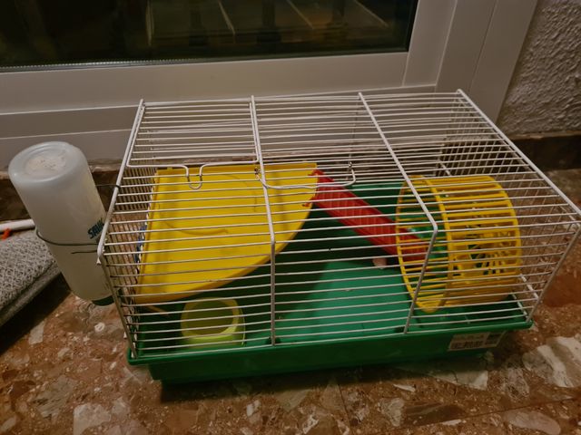 Jaula hamster