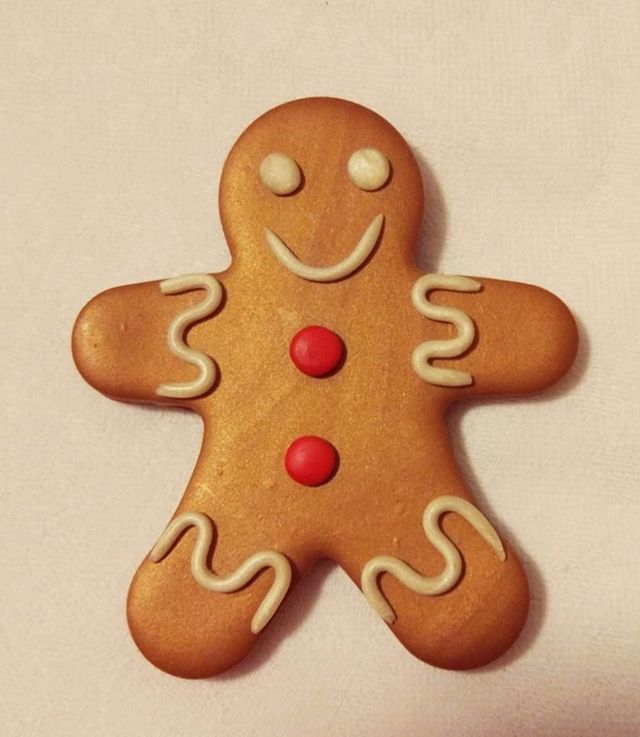 calamita gingerbread pan di zenzero