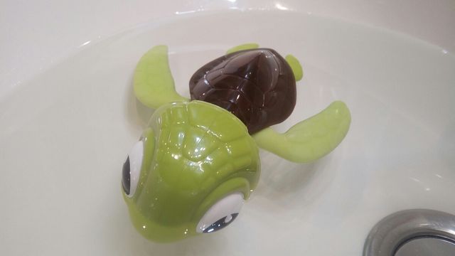 Tortuga juguete