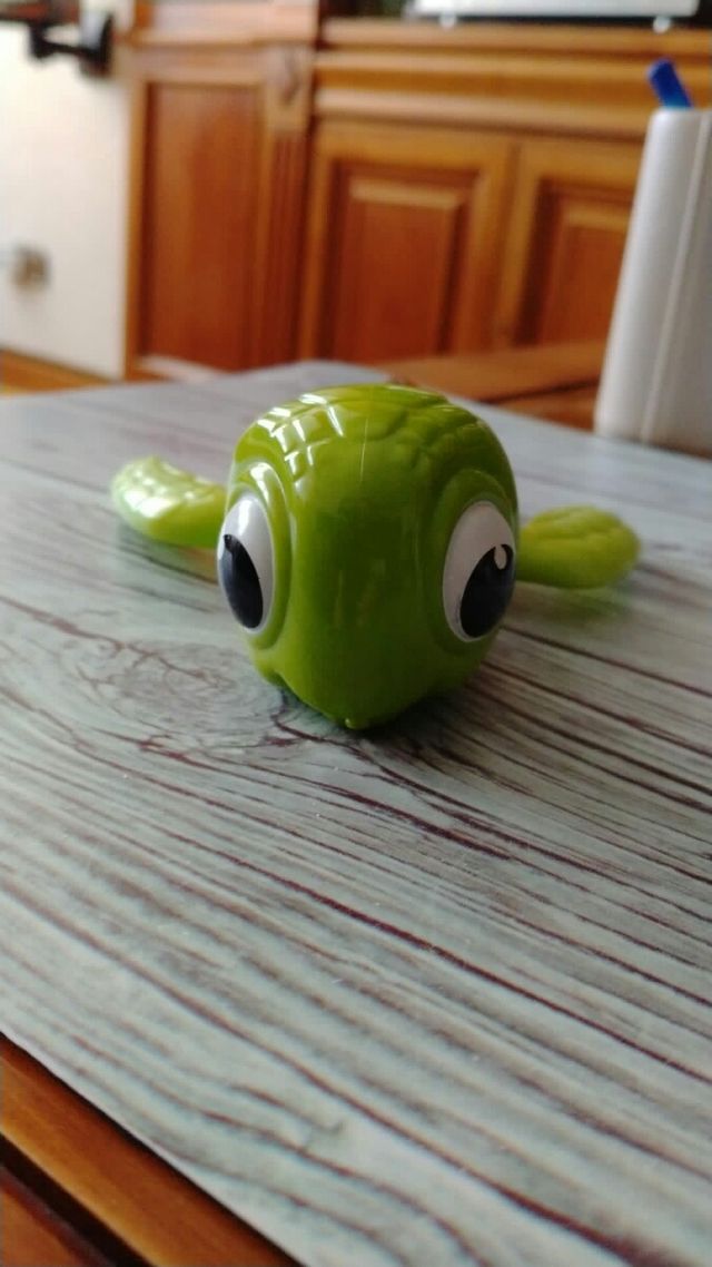 Tortuga juguete