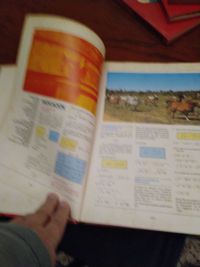 Enciclopedia escolar Matematicas,Fisica y Quimica.
