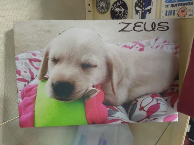 Lienzo Personalizado