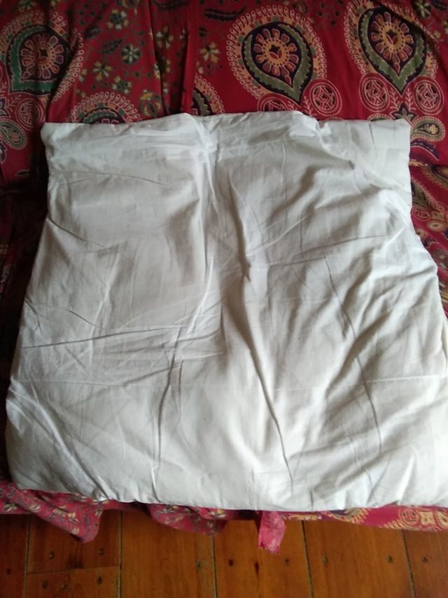 2 cojines blancos iguales grandes