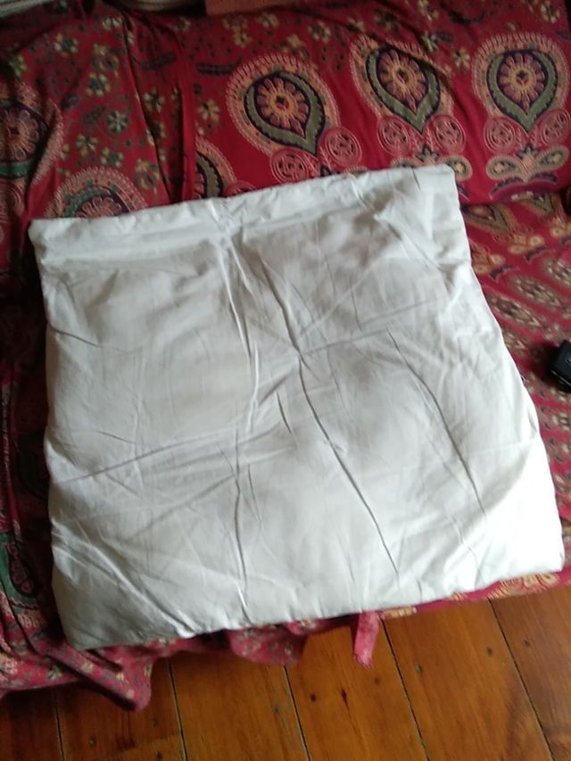 2 cojines blancos iguales grandes