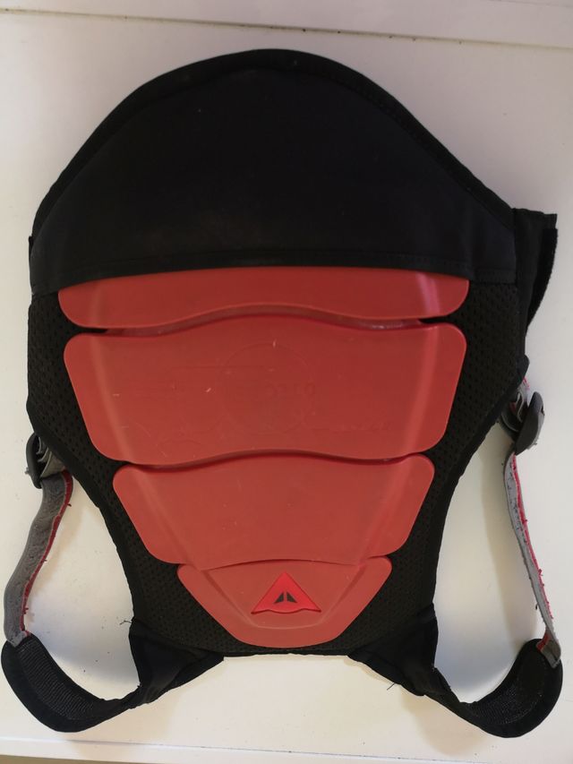 tortuga esquí. dorsal