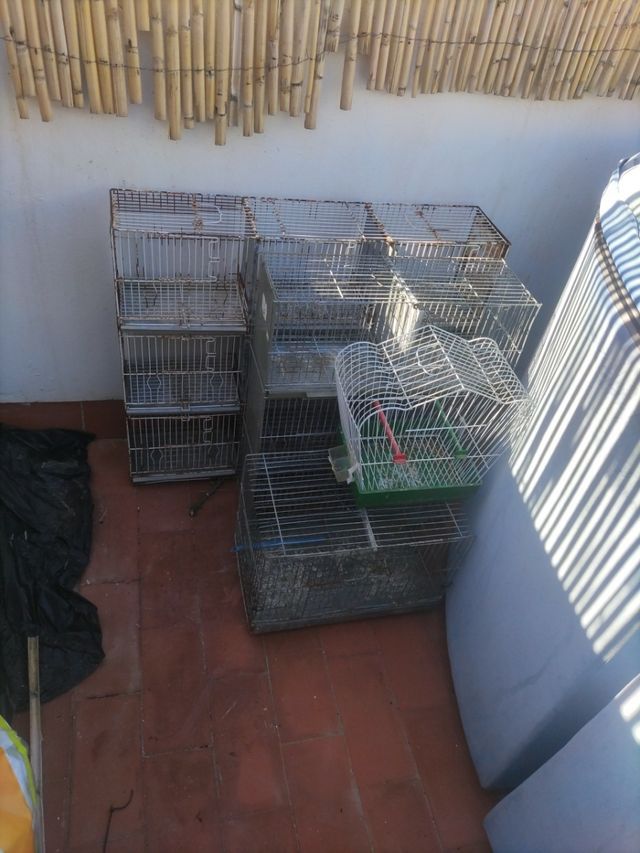 se venden jaulas
