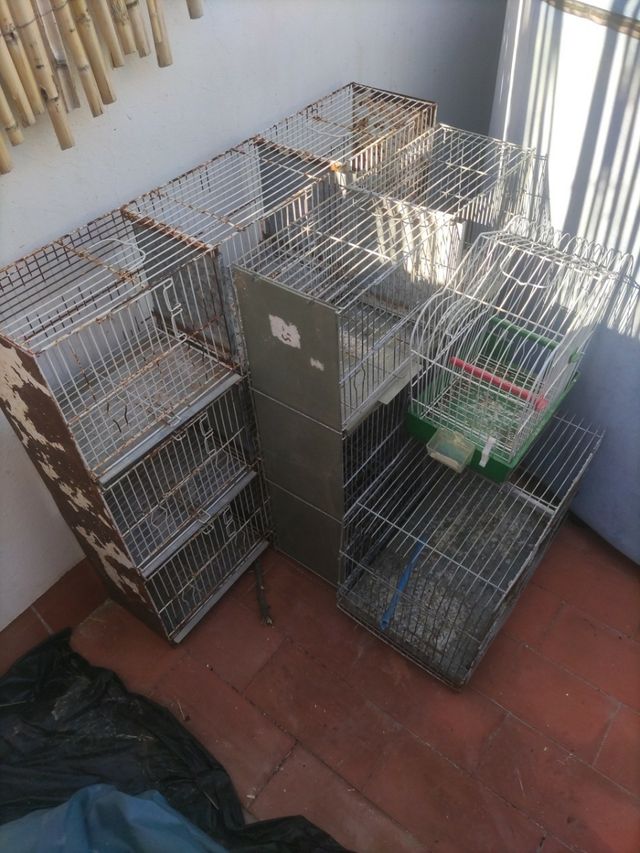se venden jaulas