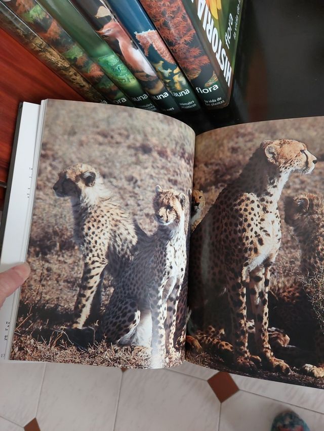 Enciclopedia Historia Natural