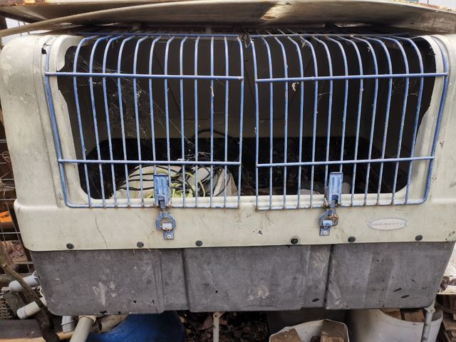 transportin amplio  para perros