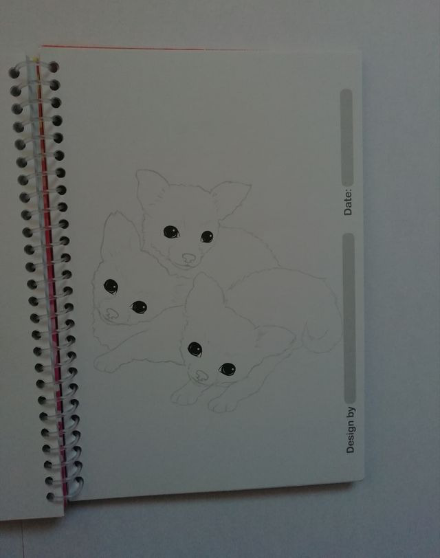 Libro Top Model para colorear y disenyar