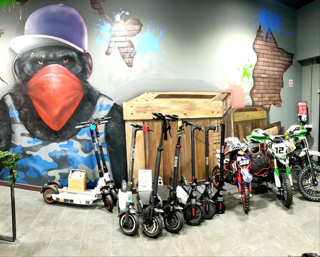 TALLER Patinetes Motos Quads Recambios...Tgna