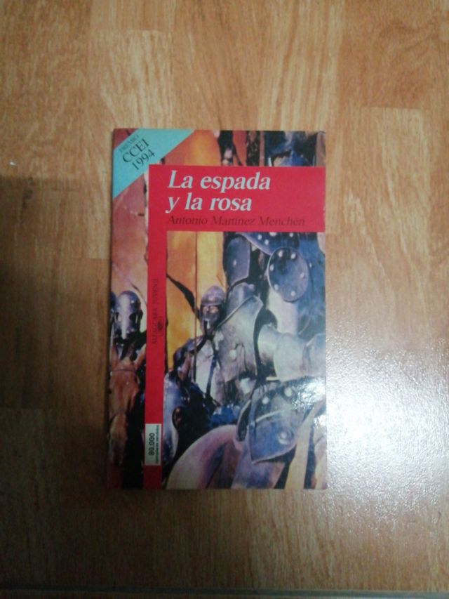 libro de lectura juvenil