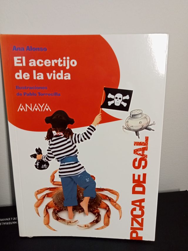 libro: EL ACERTIJO DE LA VIDA (Ana Alonso)