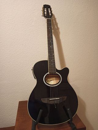 Guitarra Raimundo 646E caja estrecha a la venta