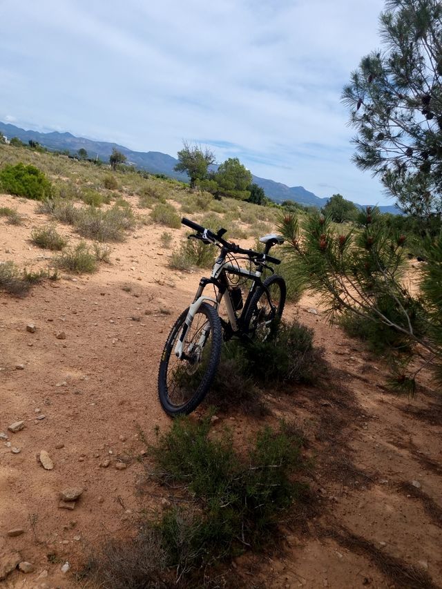 bicicleta trek