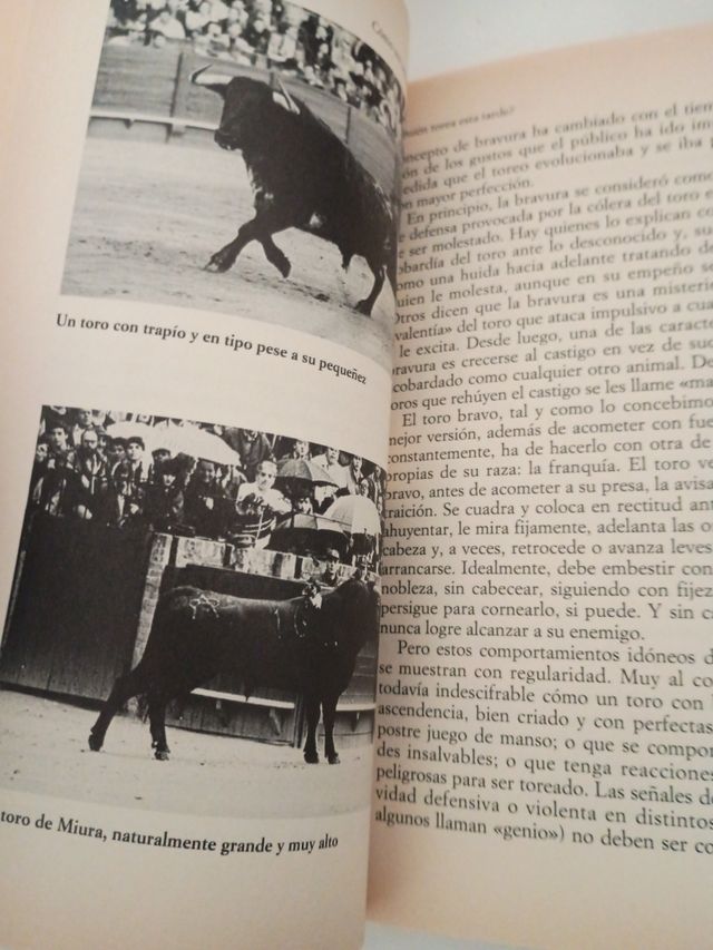 los toreros de la generación del 98, Como ver una