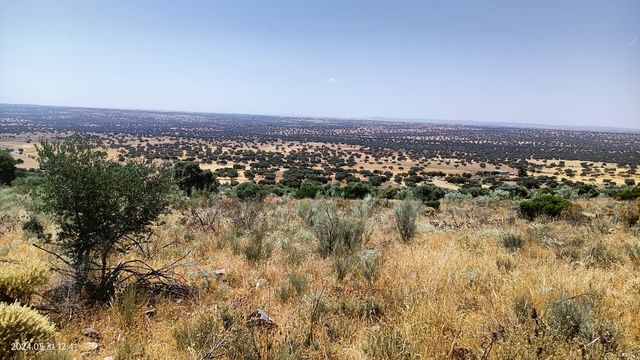 FINCA CÓRDOBA OCASIÓN 22HECTAREAS