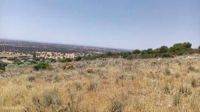 FINCA CÓRDOBA OCASIÓN 22HECTAREAS