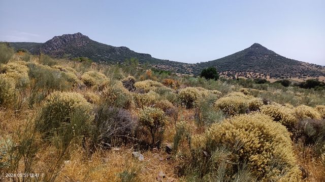 FINCA CÓRDOBA OCASIÓN 22HECTAREAS