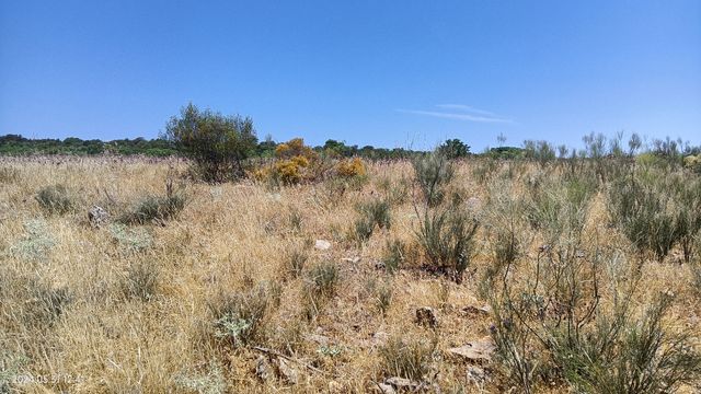 FINCA CÓRDOBA OCASIÓN 22HECTAREAS