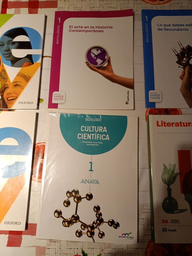 Libros 1°de Bachiller Letras como nuevos