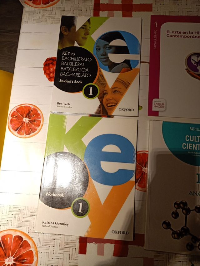 Libros 1°de Bachiller Letras como nuevos