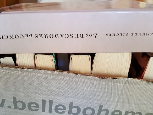 Los buscadores de conchas