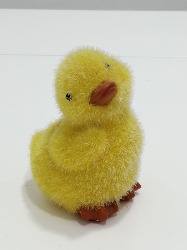 Pollito