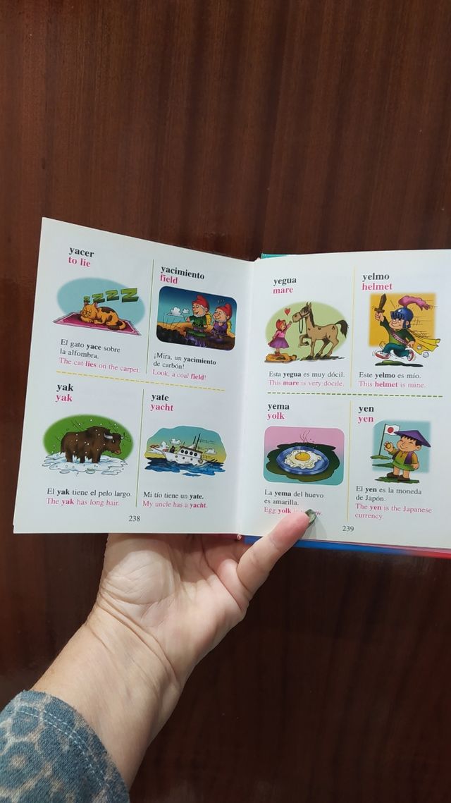 Diccionario Español_Inglés