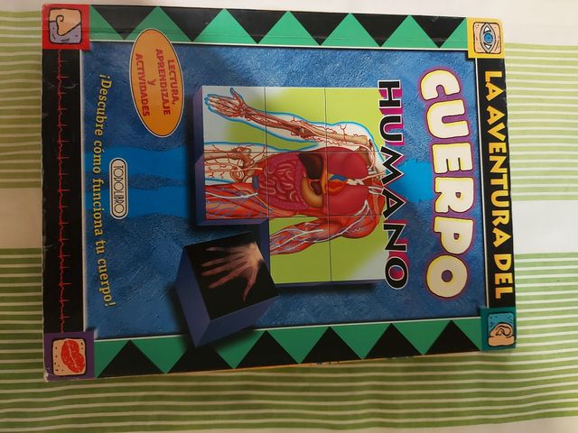 rompecabezas cuerpo humano