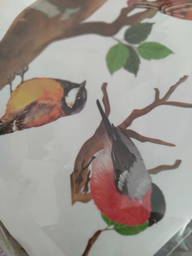 vinilo pared pajaritos