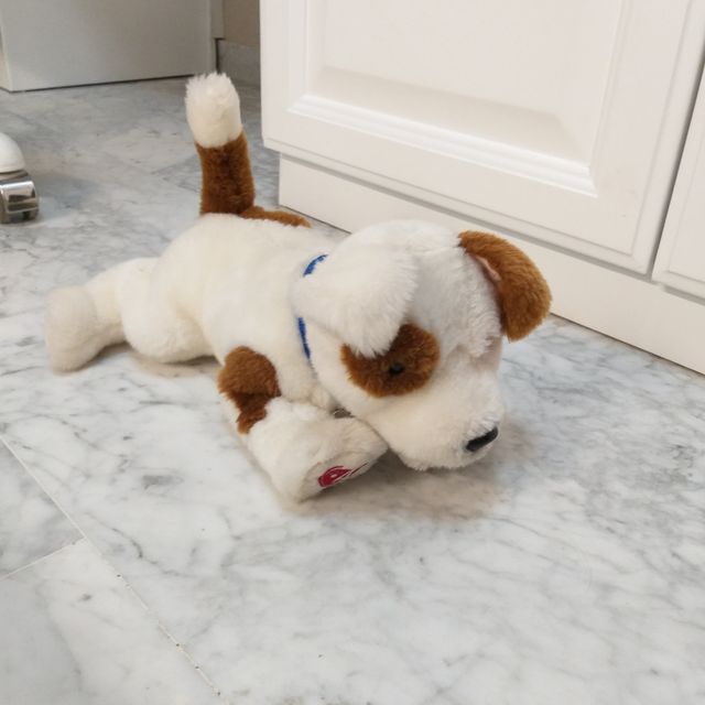 Perro peluche