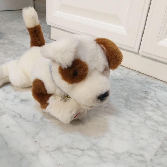 Perro peluche