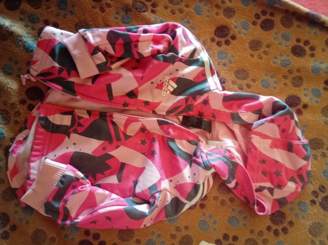 chaqueta chándal adidas