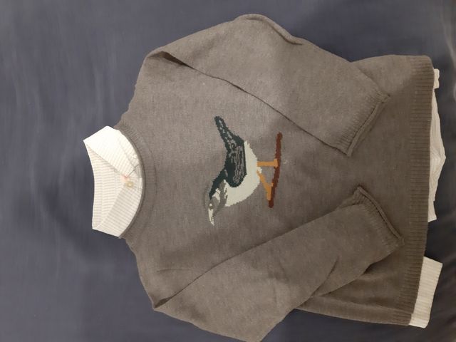 Camisa Gocco cuadritos