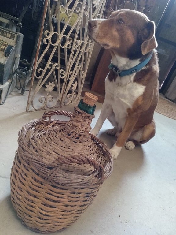 DAMAJUANAS 8 LTS. FORRADAS CAÑA