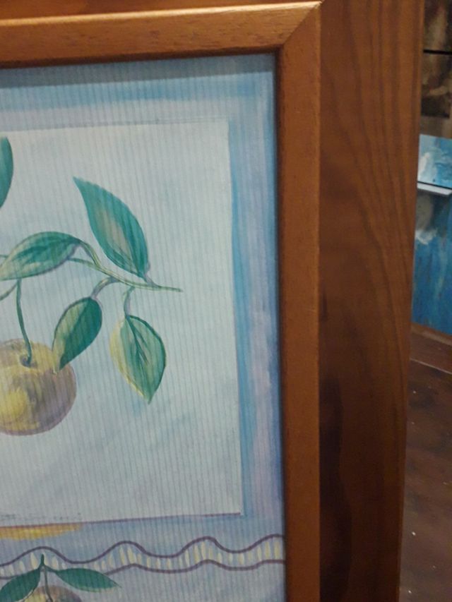 Pittura di frutta