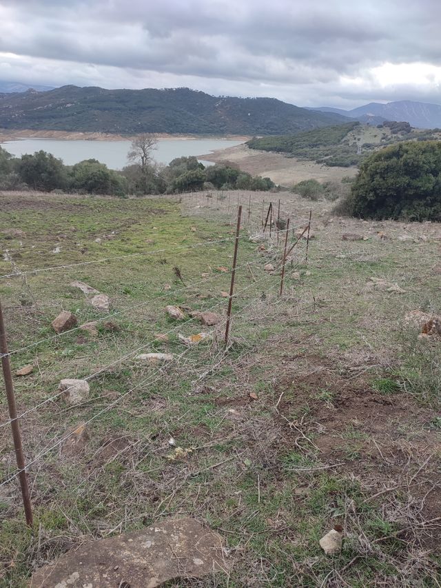 trabajos forestales