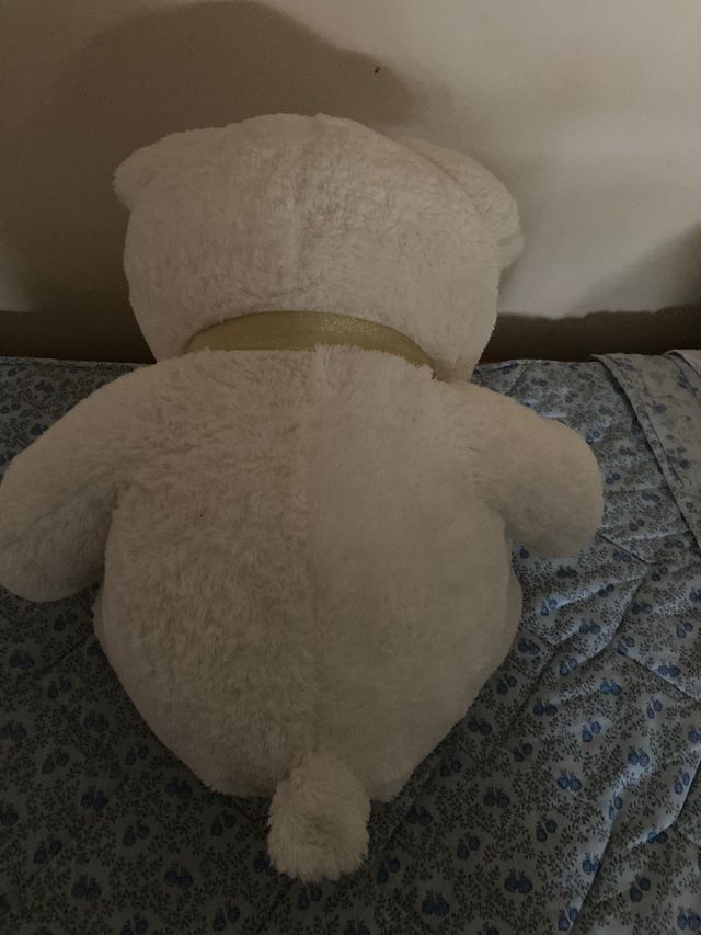 Oso grande peluche