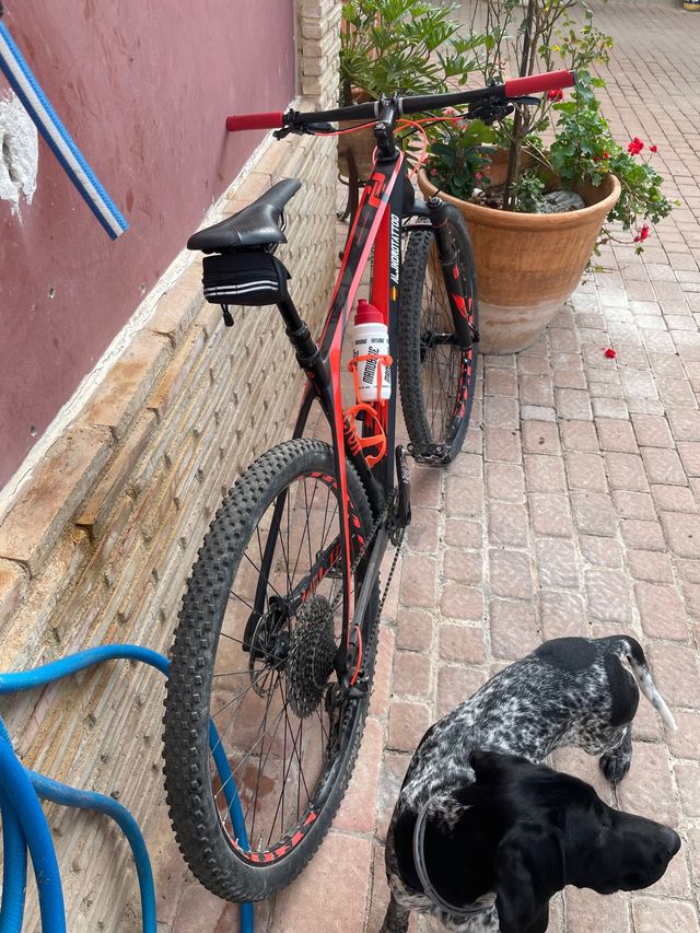 GHOST lector 5.9 talla Grande