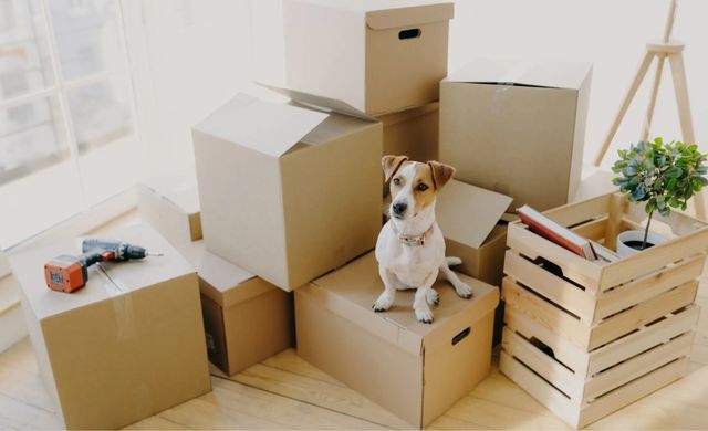 Mudanzas, Portes Y Transportes Economicos :)