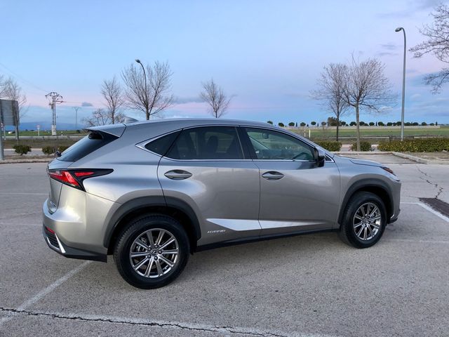 Lexus NX 2018