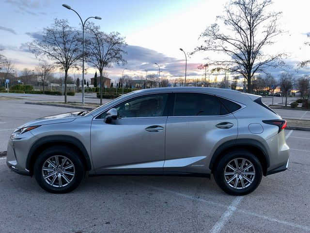 Lexus NX 2018