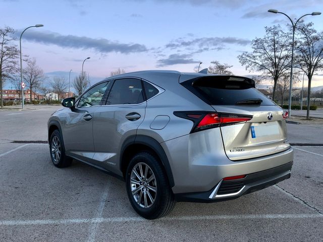 Lexus NX 2018