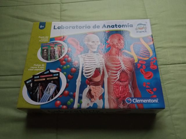 Juego educativo. Laboratorio de anatomía